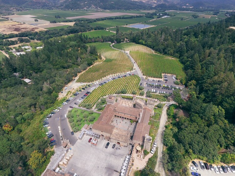 Domaine Carneros Napa Winery (30 of 31)